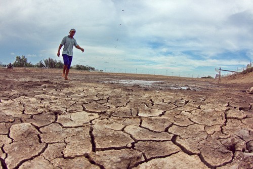 Ben Tre passt sich an den Klimawandel an - ảnh 1