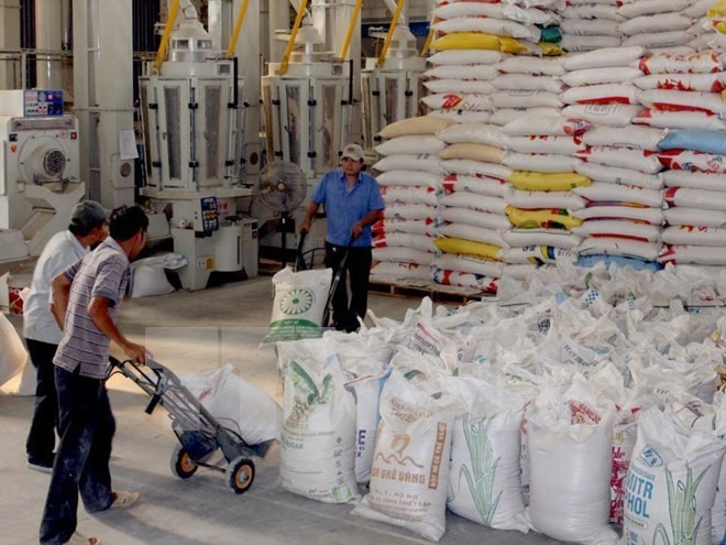 Vietnam verstärkt den Handelsaustausch mit Algerien - ảnh 1