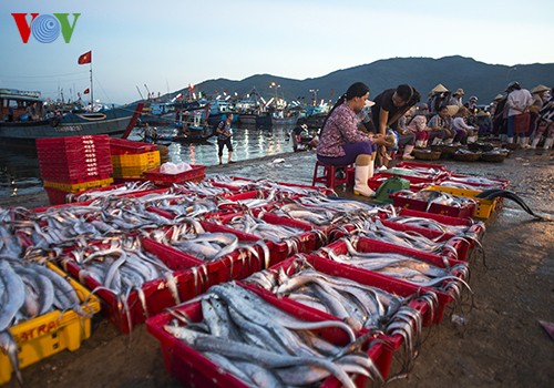 Lebendige Atmosphäre beim Hafen Tho Quang der zentralvietnamesischen Stadt Da Nang - ảnh 13