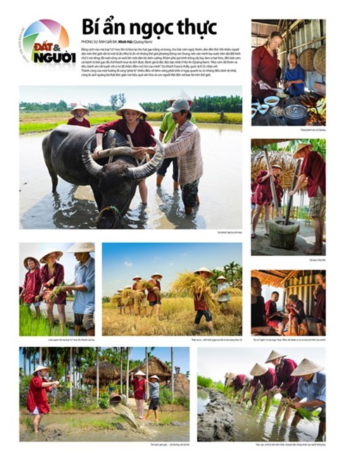 Preisverleihung des Fotowettbewerbs der Presse zum Thema “Land und Leute” - ảnh 4