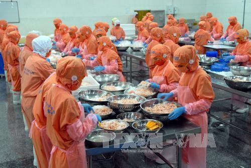 Seminar “Investitionschancen in Australien” für vietnamesische Unternehmen - ảnh 1