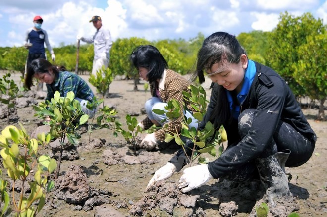 Vietnam und Deutschland verstärken Zusammenarbeit in den Bereichen Ressourcen und Umwelt - ảnh 1