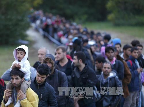 Türkei: kein Erfolg bei der Beschränkung der Flüchtlinge - ảnh 1