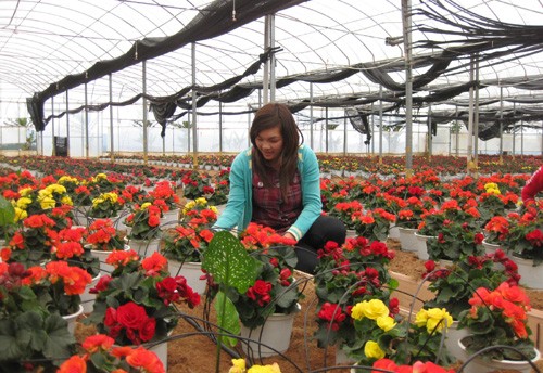 Blumenpark in Da Lat - ảnh 1