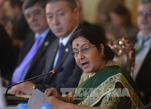 Indien kritisiert die Handlungen Chinas im Ostmeer - ảnh 1