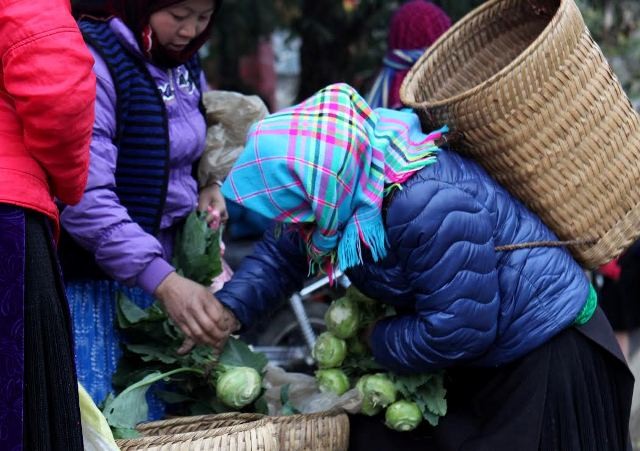 Markttag am Sonntag im Kreis Meo Vac - ảnh 6