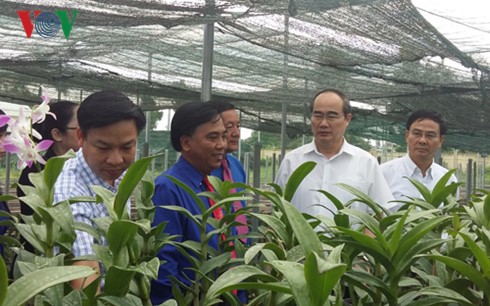 Dong Thap soll typische Reis- und Blumensorten der Provinz produzieren  - ảnh 1