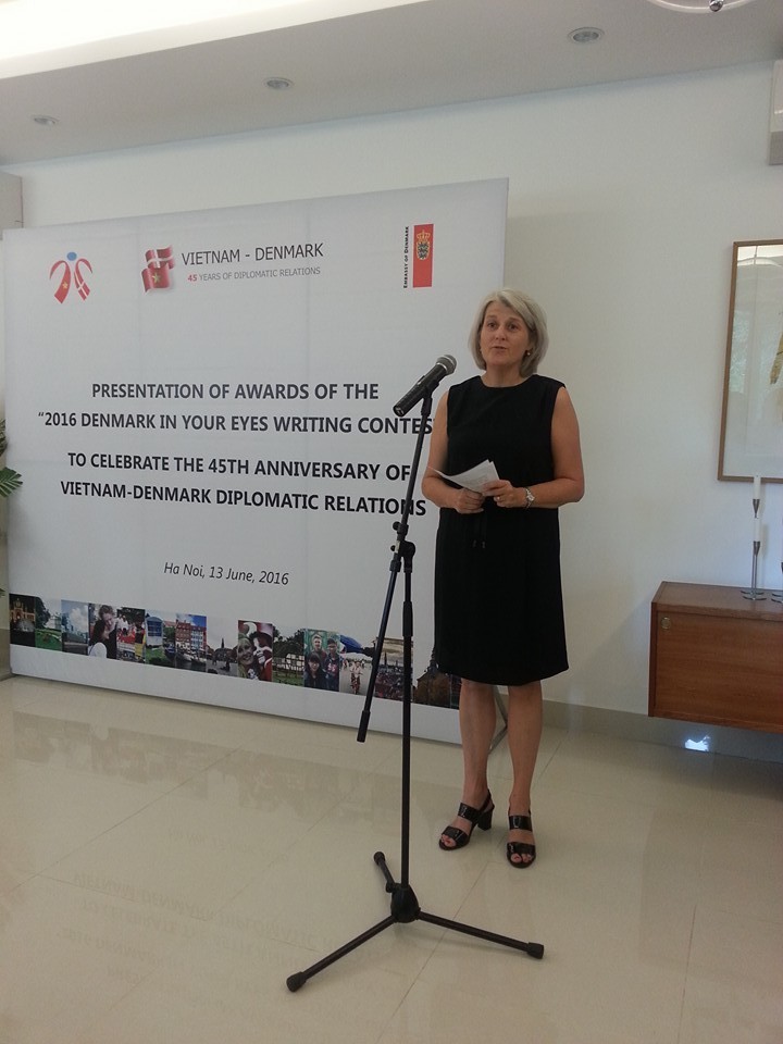 Staatspräsident Trai Dai Quang empfängt dänische Botschafterin - ảnh 1