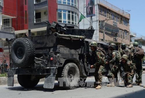 Zahlreiche Terroristen in Saudi Arabien und Afghanistan getötet - ảnh 1