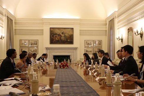 Politische Konsultation und strategischer Dialog zwischen Vietnam und Indien - ảnh 1