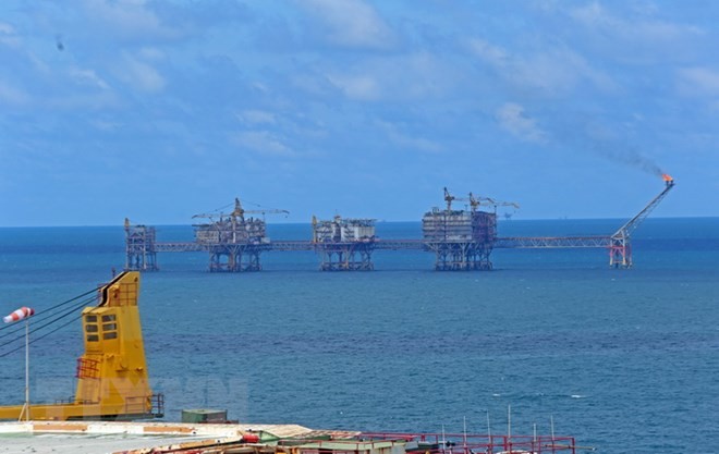 Vietnam ist ein potentieller Markt für viele russische Unternehmen - ảnh 1