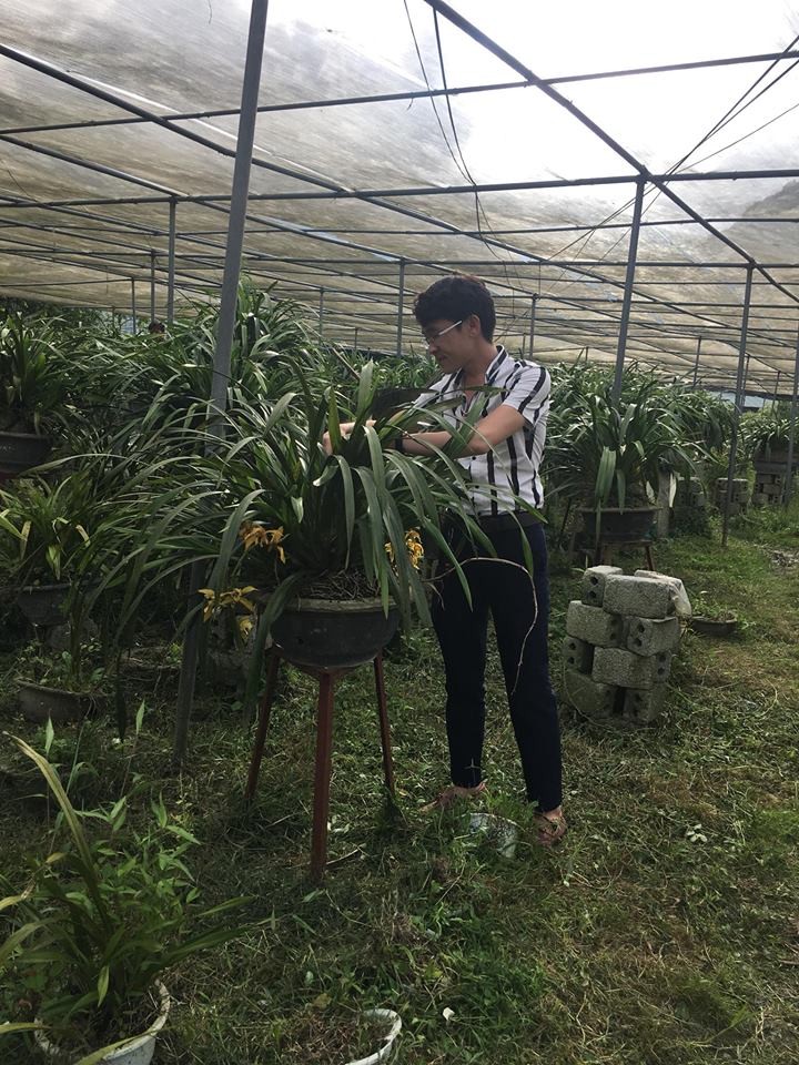 Orchideen-Bepflanzung ist der Ausweg aus der Armut der Bewohner in der Gemeinde Ta Phin - ảnh 1