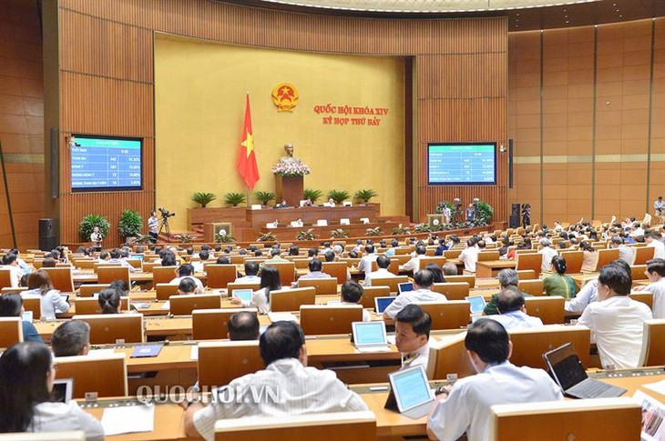 Parlamentssitzung: 17 Gesetzesentwürfe werden diskutiert und verabschiedet - ảnh 1