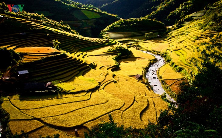 Dokument zur Anerkennung der Reisterrassen in Mu Cang Chai als besondere Nationalstätte - ảnh 1