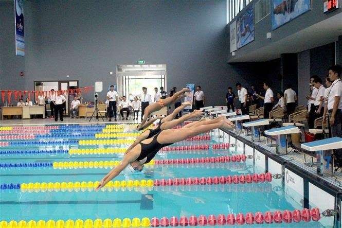 Eröffnung der Schwimm- und Tauchmeisterschaft „Sun Sport Complex 2019”  - ảnh 1