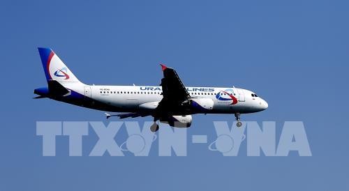 Handelsstreit zwischen den USA und der EU - ảnh 1