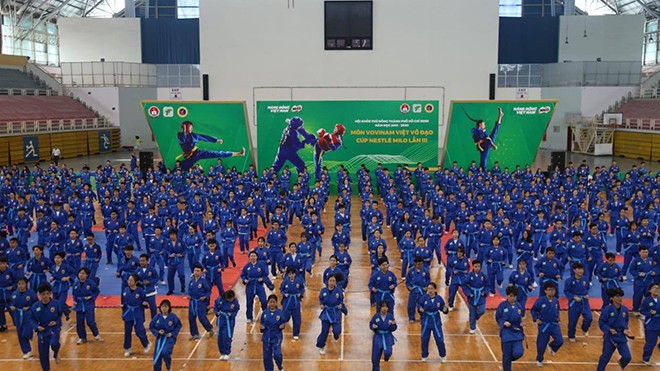 Turnier der vietnamesischen Kampfkunst Vovinam in Ho Chi Minh Stadt - ảnh 1