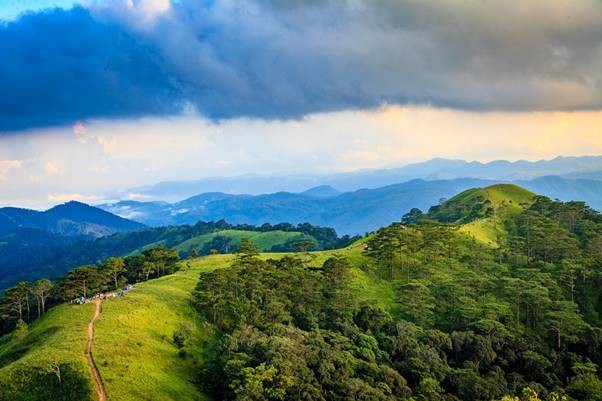 Trekking in Ta Nang-Phan Dung mit Gebirgen und Wäldern - ảnh 1