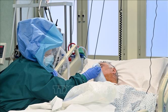 Covid-19-Pandemie: Über 1,5 Millionen Menschen weltweit sterben - ảnh 1