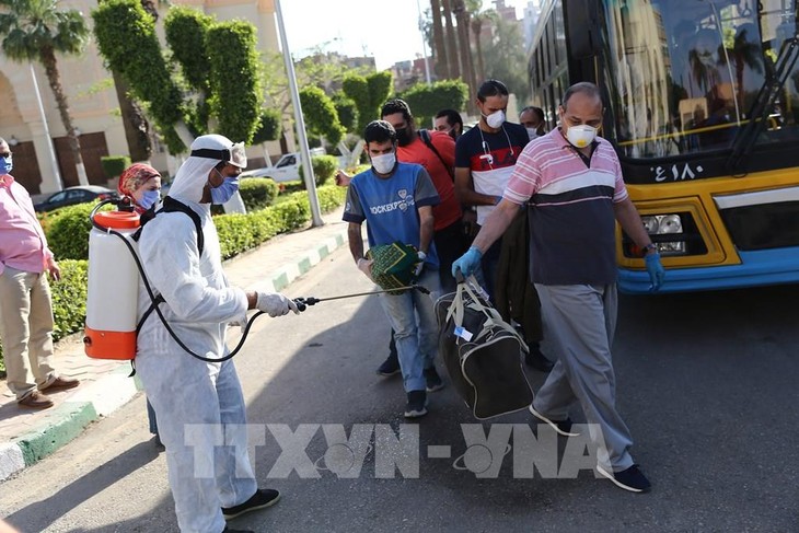 Ägypten ist bereit zur Förderung des AfCFTAs - ảnh 1