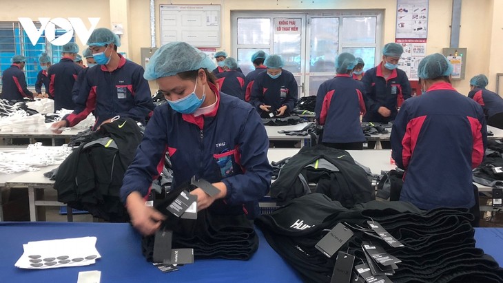 Vietnamesische Unternehmer sollen Chancen der Covid-19-Pandemie wahrnehmen - ảnh 1