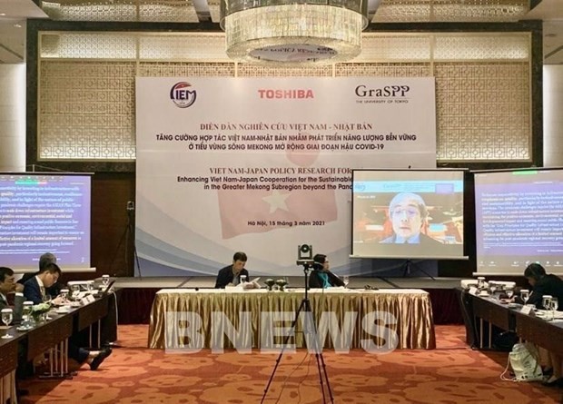Vietnam und Japan arbeiten in nachhaltiger Entwicklung von Energie in Mekong-Subregion zusammen - ảnh 1