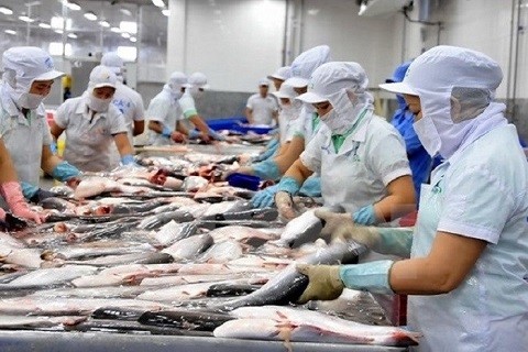 Letzte Schlussfolgerung der 16. Prüfung über Antidumpingzoll gegenüber Pangasius-Produkte aus Vietnam - ảnh 1