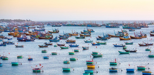 Einzigartiges Vietnam durch die Linse internationaler Fotografen - ảnh 10