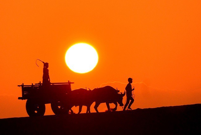 Einzigartiges Vietnam durch die Linse internationaler Fotografen - ảnh 18