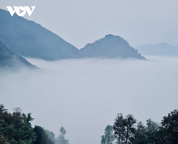 Die Weißdorne blühen auf dem Hochgebirge Son La - ảnh 11