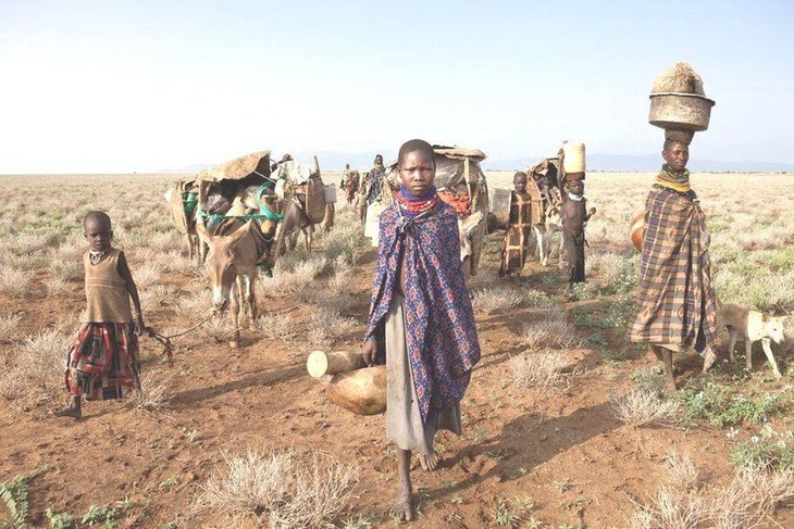 IWF bewertet die globale Lebensmittelkrise - ảnh 1