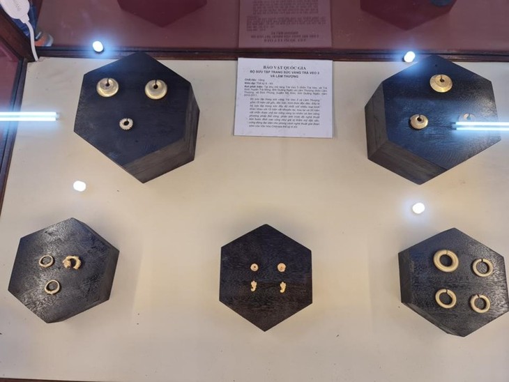 Provinz Quang Ngai stellt drei seltene nationale Schätze aus - ảnh 1