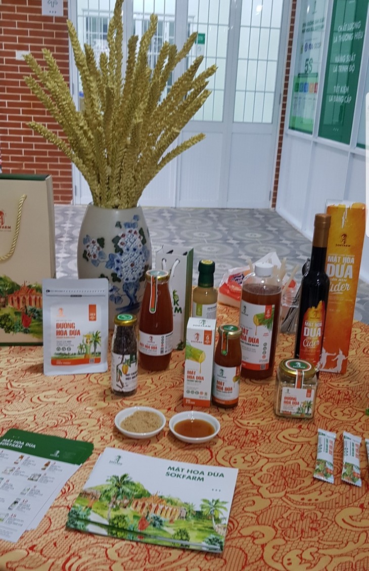 Die Frau beginnt das Startup mit Kokosnussnektar - ảnh 1