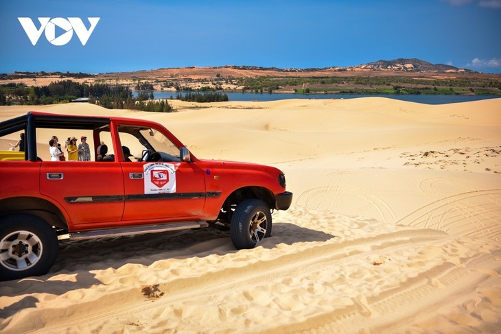 Nationales Tourismusjahr 2023 strebt grünen Tourismus an - ảnh 1