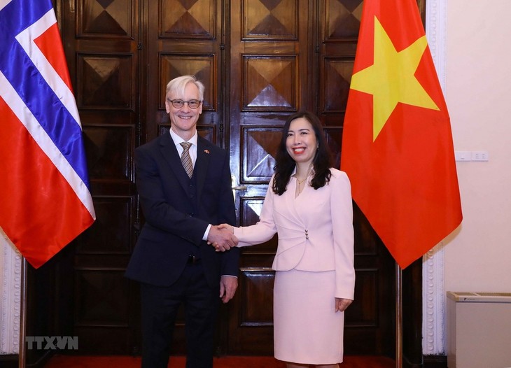Neunte politische Konsultation zwischen Vietnam und Norwegen - ảnh 1