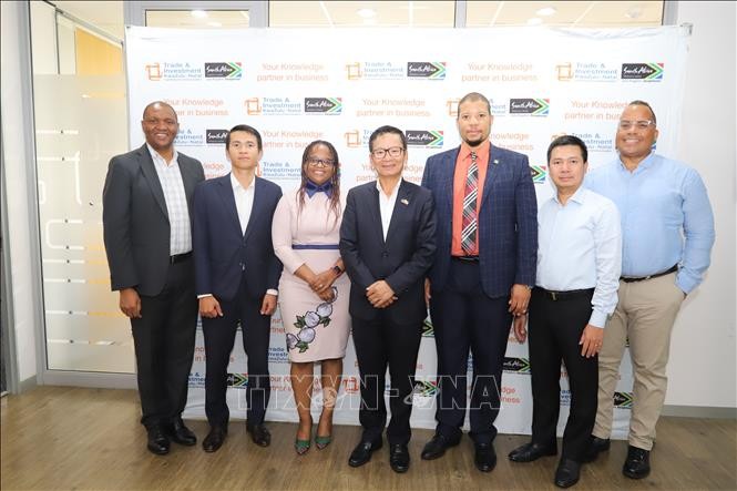 Wirtschaftsdiplomatie zwischen Vietnam und südafrikanischem KwaZulu-Natal verstärken - ảnh 1