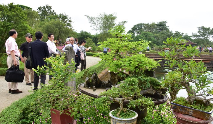 Ausstellung „Zierpflanzen und Orchideen der drei Regionen” in Dai Noi in Hue - ảnh 1