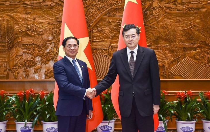 Vietnam achtet auf umfassende strategische Partnerschaft mit China - ảnh 1