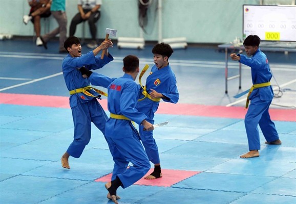 Verband für Vovinam Hanoi will Aktivitäten professionalisieren - ảnh 1