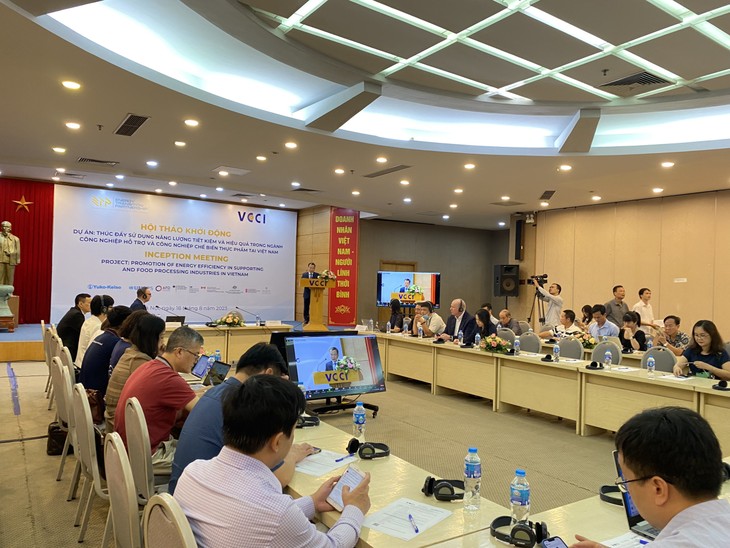 Sparsame und effektive Energienutzung in Industriebranchen fördern	 - ảnh 1