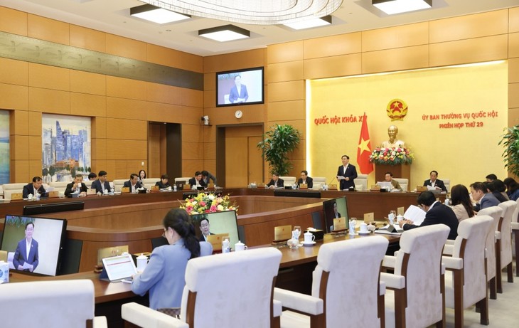 29. Sitzung des Ständigen Parlamentsausschusses - ảnh 1