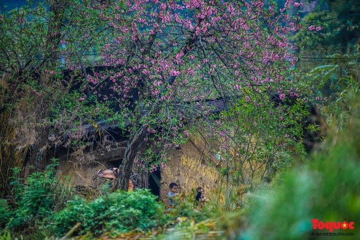 Die märchenhaft schönen Dörfer in Ha Giang - ảnh 3