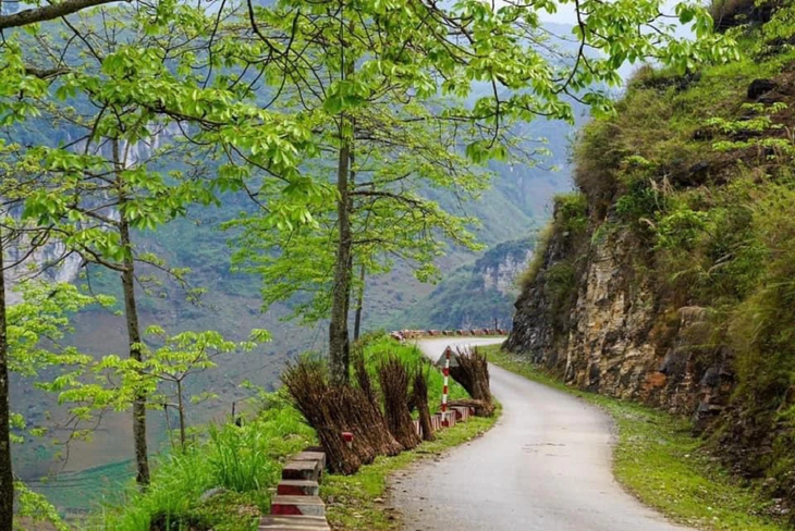 Die märchenhaft schönen Dörfer in Ha Giang - ảnh 6