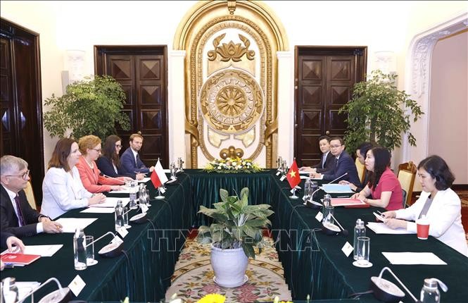 Politische Konsultation zwischen Vietnam und Polen - ảnh 1