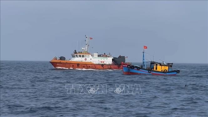 Vietnam gibt sich angemessene Mühe zur Verhinderung der IUU-Fischerei - ảnh 1