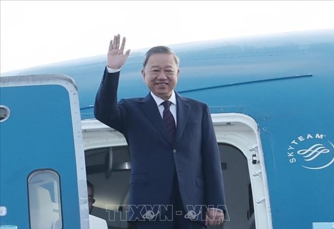 Staatspräsident To Lam beginnt Staatsbesuch in Laos - ảnh 1