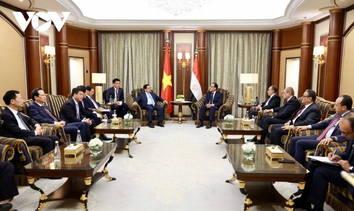 Premierminister Pham Minh Chinh trifft Ägyptens Premierminister Mustafa Madbuli  - ảnh 1