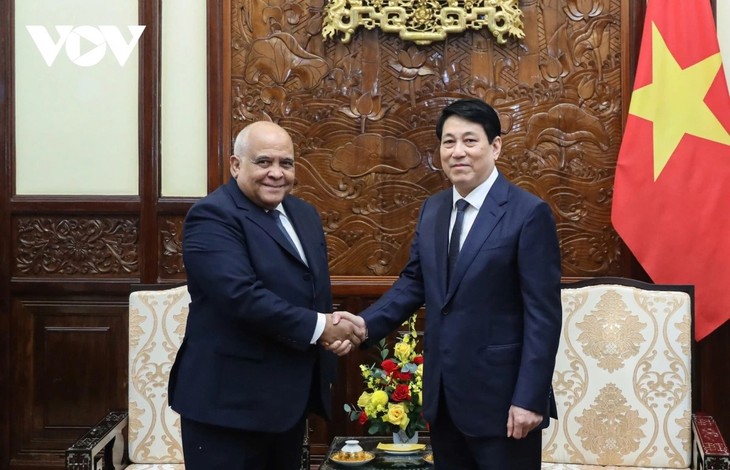 Staatspräsident Luong Cuong empfängt den kubanischen Botschafter - ảnh 1