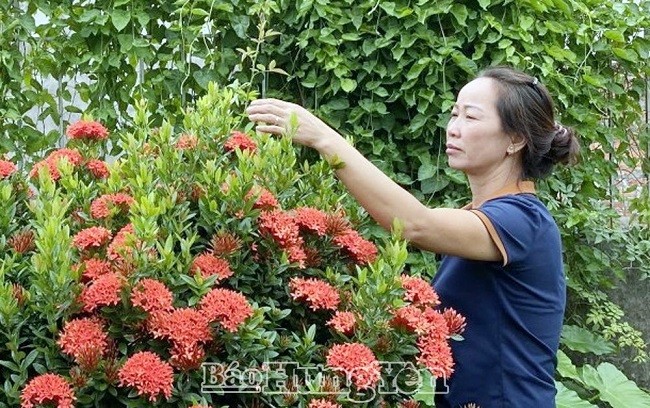 Hung Yen entwickelt die Landwirtschaft im Zusammenhang mit der Neugestaltung ländlicher Gebiete - ảnh 2