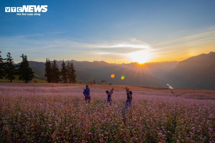 Schönheit der Steppe in Ha Giang in Saison des Echten Buchweizens - ảnh 10